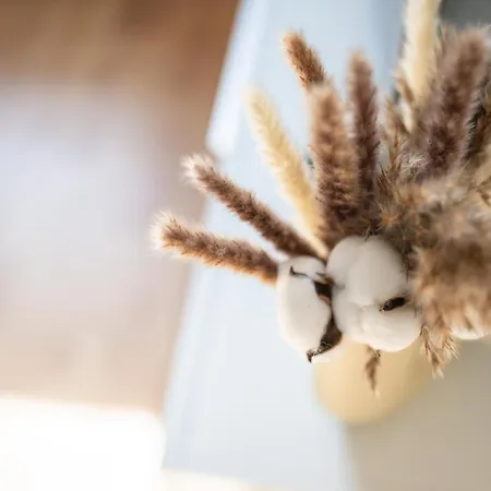 Apartman Altstadtnahe Wohlfuehloase Fuer 6 Personen Erfurt