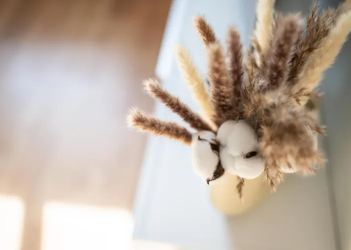 Apartment Altstadtnahe Wohlfühloase Für 6 Personen Erfurt